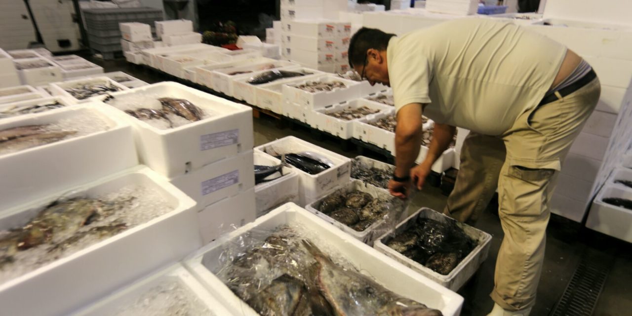 Seminario sobre la FP Dual para los sectores agroalimentario y pesquero