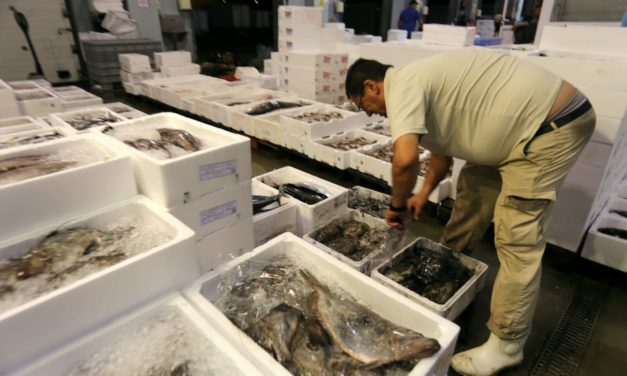 Seminario sobre la FP Dual para los sectores agroalimentario y pesquero