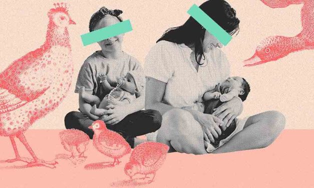 Cultura, maternidad y relaciones humanas