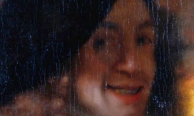 Vermeer de Delft