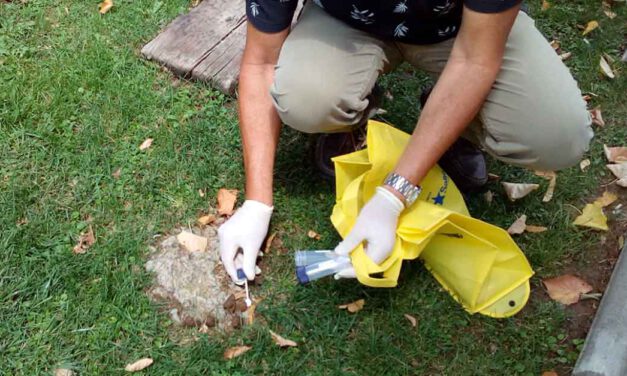 Unión Portuense propone analisis de ADN para evitar las heces caninas en la calle