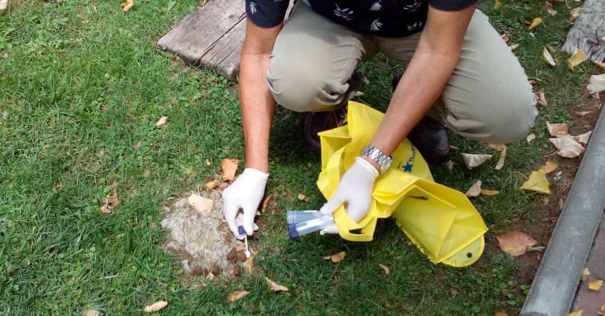 Unión Portuense propone analisis de ADN para evitar las heces caninas en la calle