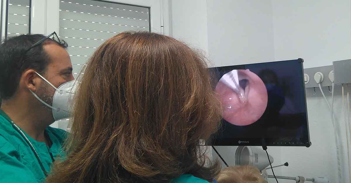 AESDE agradece al hospital Puerta del Mar de Cádiz su atención ininterrumpida