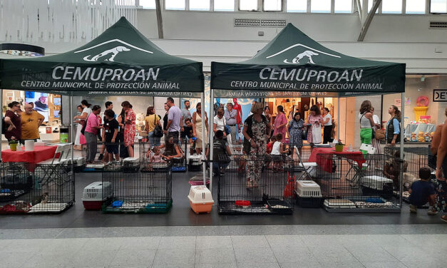 El Paseo acoge una nueva carpa para fomentar la adopción de animales