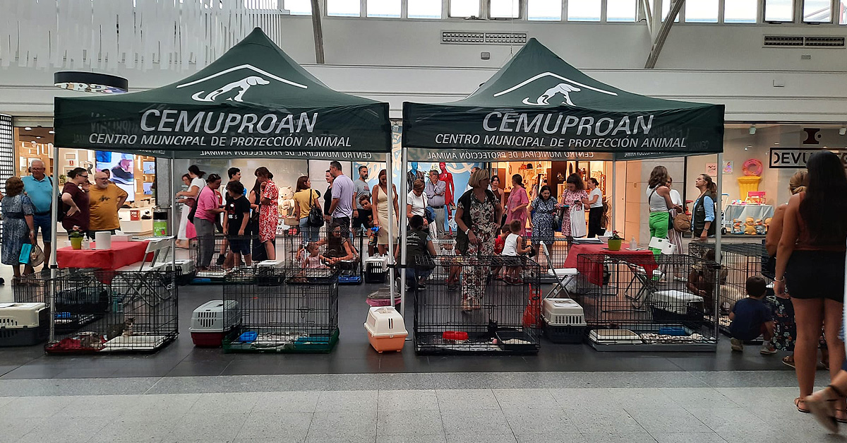 El Paseo acoge una nueva carpa para fomentar la adopción de animales