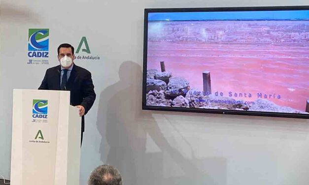 "La presencia de El Puerto en Fitur ha sido penosa"
