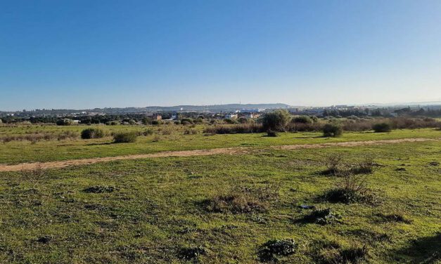 El PP eleva a Pleno que SEPES convoque la comisión de seguimiento para el desarrollo de La Florida