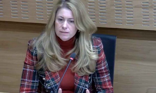 Vox lamenta que no se haya convocado el Consejo de Turismo antes de ir a Fitur