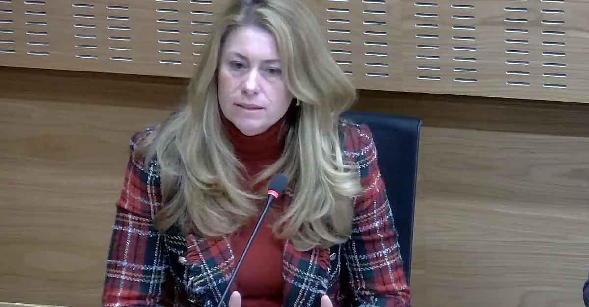 Vox lamenta que no se haya convocado el Consejo de Turismo antes de ir a Fitur