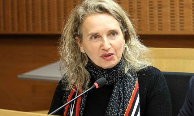 Ciudadanos exigirá respeto en el Pleno para que no se repitan las escenas violentas del último encuentro