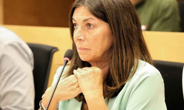 IU lamenta "el ninguneo" del PP al Consejo de Igualdad