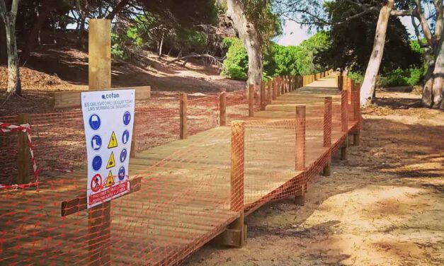 La construcción del nuevo Paseo Peatonal entre Las Redes y Vistahermosa va cogiendo forma