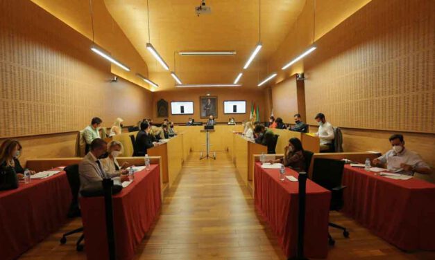 El Ayuntamiento de El Puerto celebrará sus plenos de manera telemática