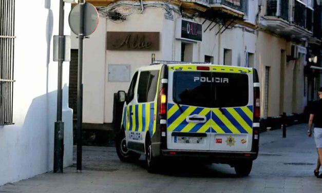 IU y PSOE presentan una alegación a la totalidad al borrador de la Ordenanza de Convivencia