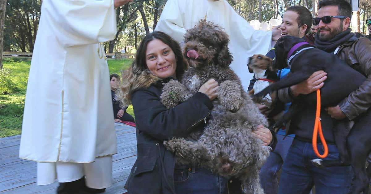 El Puerto celebrará este domingo la romería de San Antón
