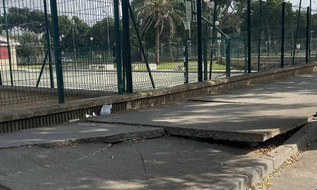 Izquierda Unida denuncia el estado del acerado del CEIP El Juncal