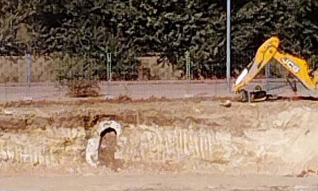 El Ayuntamiento decreta la paralización cautelar de las obras en San José del Pino