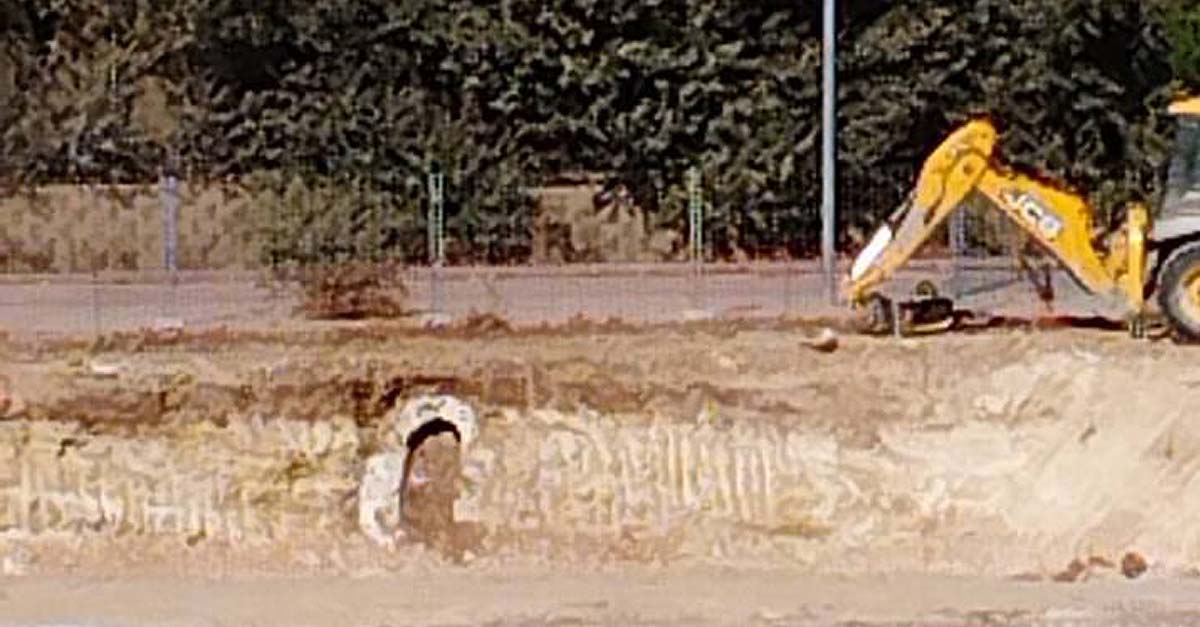 El Ayuntamiento decreta la paralización cautelar de las obras en San José del Pino