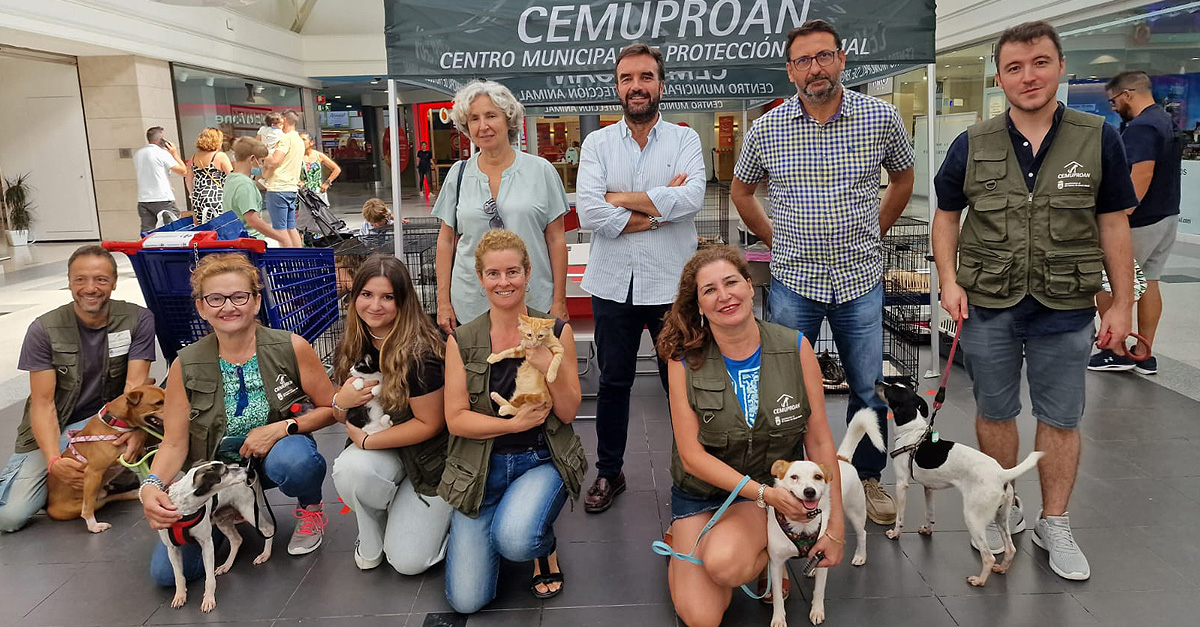 Tres días del Cemuproan en El Paseo se traducen en 35 adopciones y nuevos hogares para perros y gatos abandonados