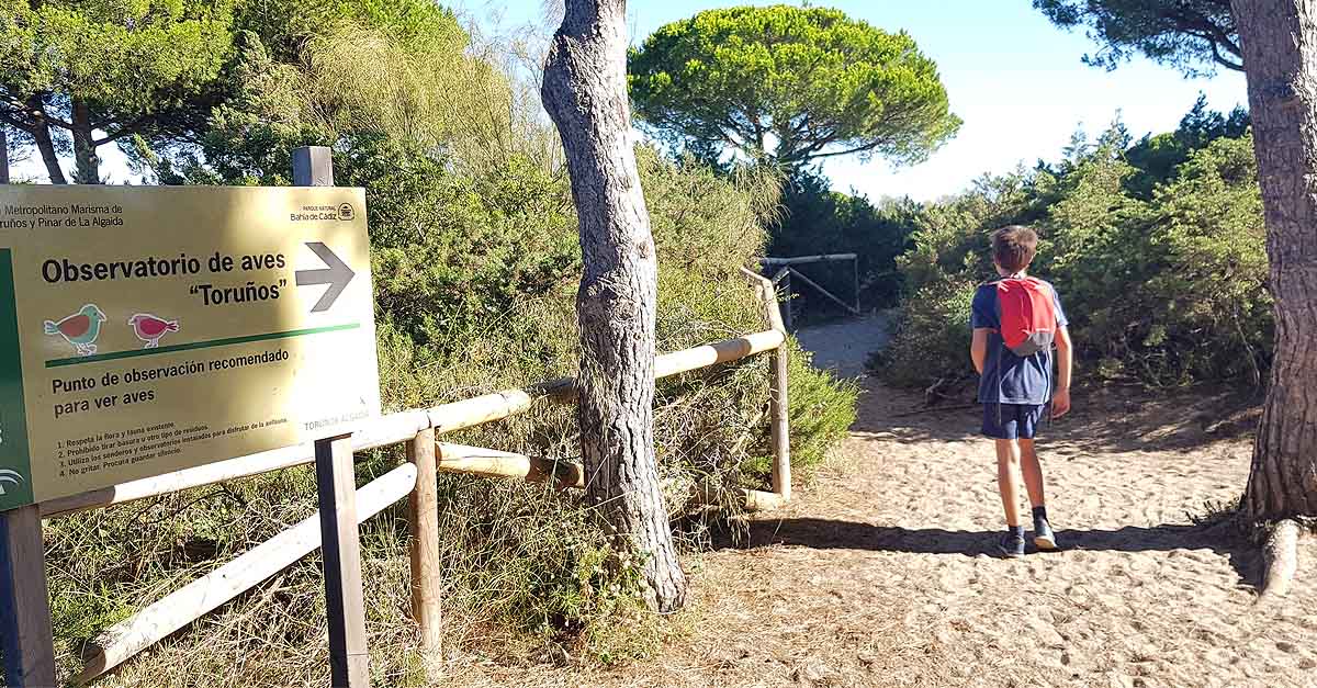 Los Toruños dedicará todo el fin de semana a conmemorar el Día Mundial de las Aves