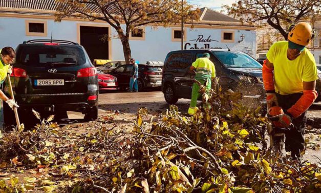 La borrasca Bernard deja más de 50 intervenciones por caídas de árboles y otras incidencias en El Puerto