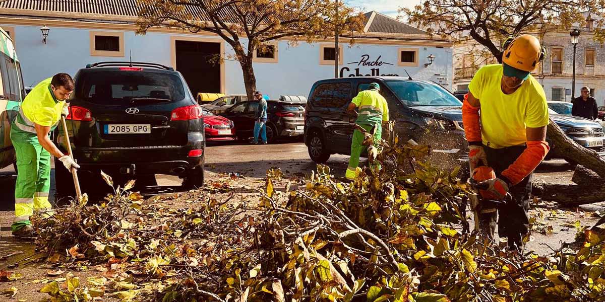 La borrasca Bernard deja más de 50 intervenciones por caídas de árboles y otras incidencias en El Puerto