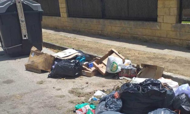 El PSOE pide dimisiones por la falta de limpieza y jardinería en El Puerto