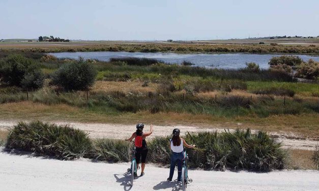 Medio Ambiente propone nueva ruta para conocer pedaleando los humedales de El Puerto