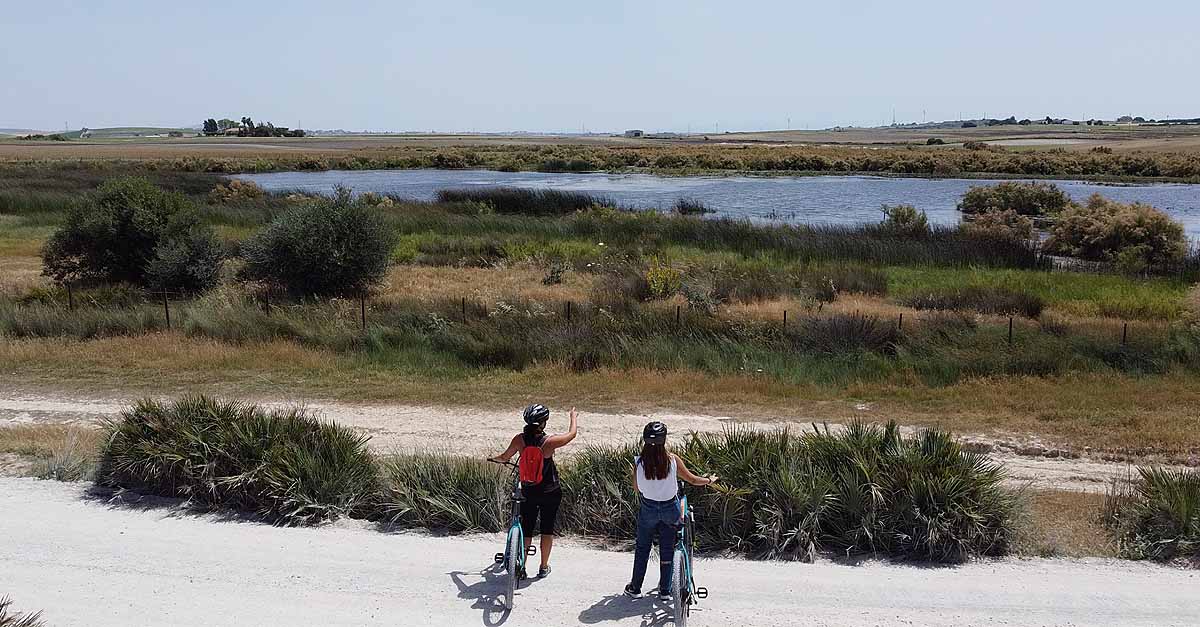 Medio Ambiente propone nueva ruta para conocer pedaleando los humedales de El Puerto