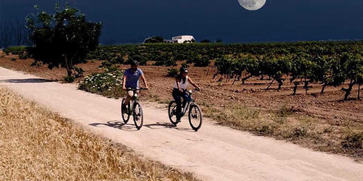 El Puerto organiza este sábado una ‘Ruta guiada nocturna bajo la luna llena entre viñas’