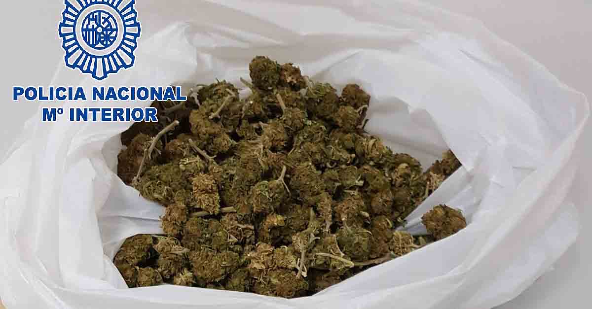 Detenido en El Puerto un hombre con una bolsa llena de cogollos de marihuana