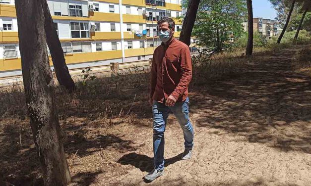 Unión Portuense apuesta por recuperar el Pinar de las Dunas de San Antón