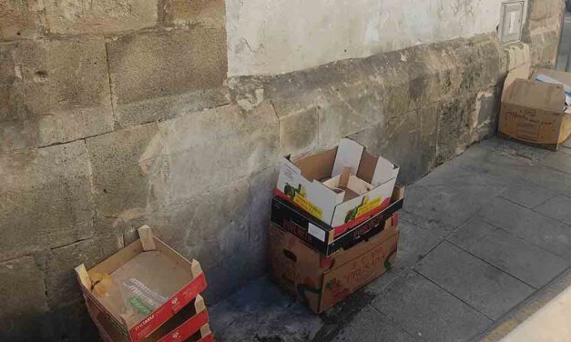 Vox insiste en que el servicio de recogida de cartón puerta a puerta no se está llevando a cabo