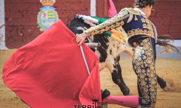 El novillero portuense Gonzalo Capdevila se dirige a tierras navarras para un mano a mano, antes de debutar con caballos