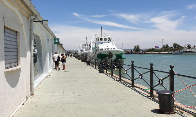 El catamarán registra una importante subida de usuarios