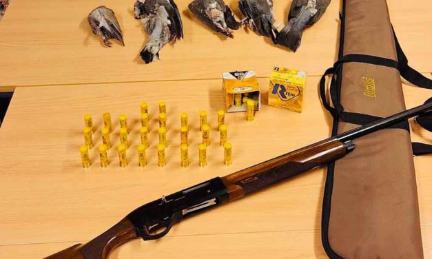 La Policía Local intensifica los controles de caza furtiva en zonas rústicas de El Puerto