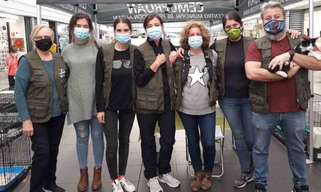 El Paseo organiza dos nuevas jornadas de adopción de mascotas