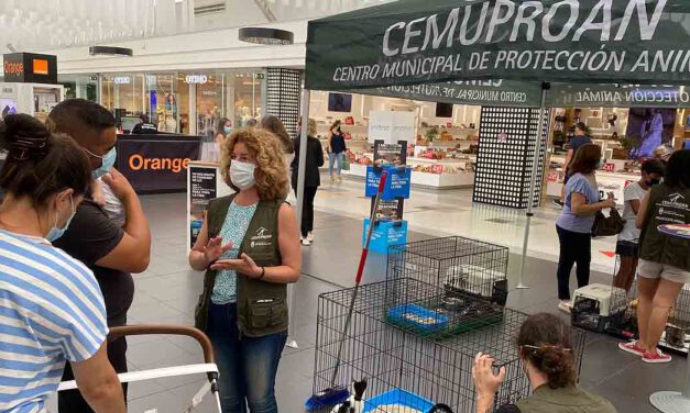 El Paseo organiza una jornada de adopción de mascotas con el centro municipal de protección animal