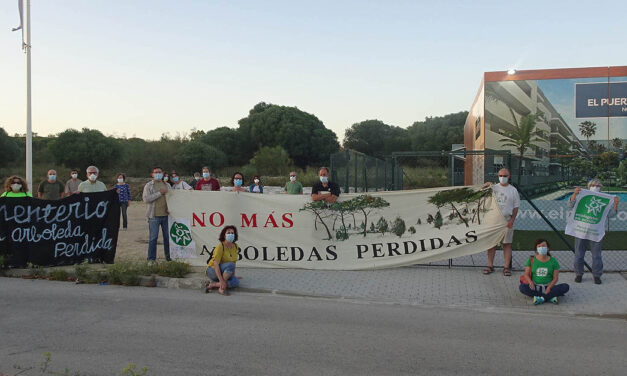 "Pretenden construir 1.260 viviendas en uno de los mejores bosques de la Bahía de Cádiz"