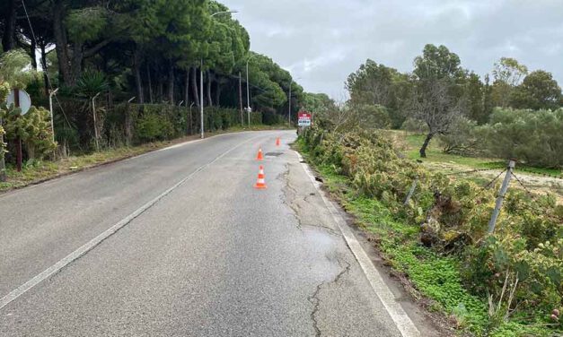 Cortado al tráfico el camino de la Hijuela del Tío Prieto por riesgo en la calzada