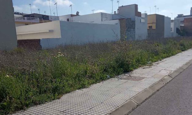 El PSOE denuncia el mal estado del entorno del Centro Cívico de El Puerto