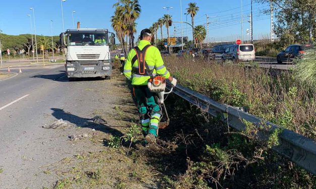 El Ayuntamiento realiza una limpieza integral de la mediana junto al Río San Pedro