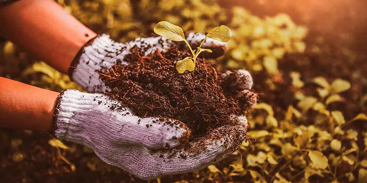El Poblado de Doña Blanca será sede de un curso de Agricultura Ecológica, del 8 al 15 de septiembre
