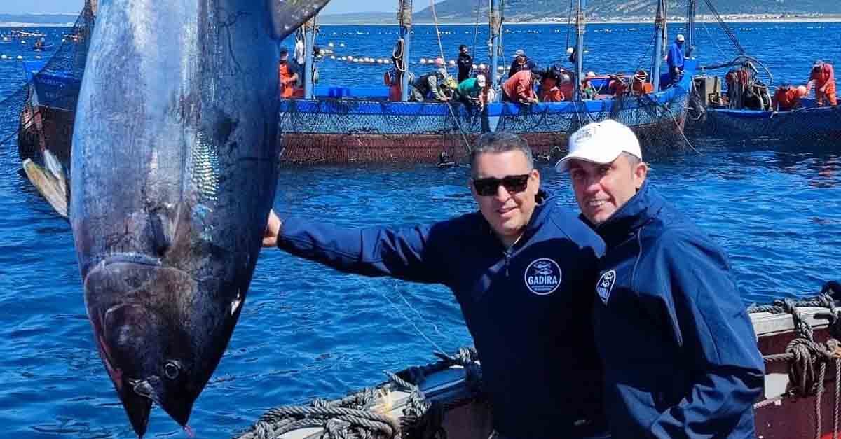 El propietario de La Pescadería disfruta de la levantá del atún rojo en Zahara de los Atunes