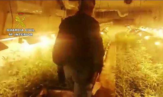 Desmantelada una red de cultivo de marihuana que operaba en El Puerto, Jerez y Chiclana