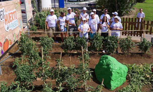 El Paseo pone en marcha un huerto terapéutico solidario