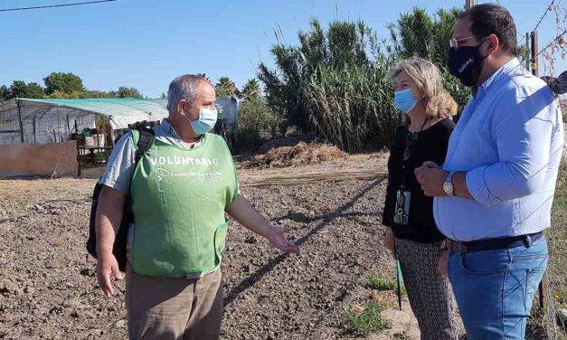 Los huertos solidarios de La Vicuña se consolidan como un proyecto con corazón