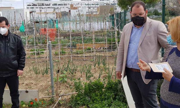 El Puerto se suma al proyecto 'Andalhuerto' de la Junta con el reparto de semillas en los huertos urbanos