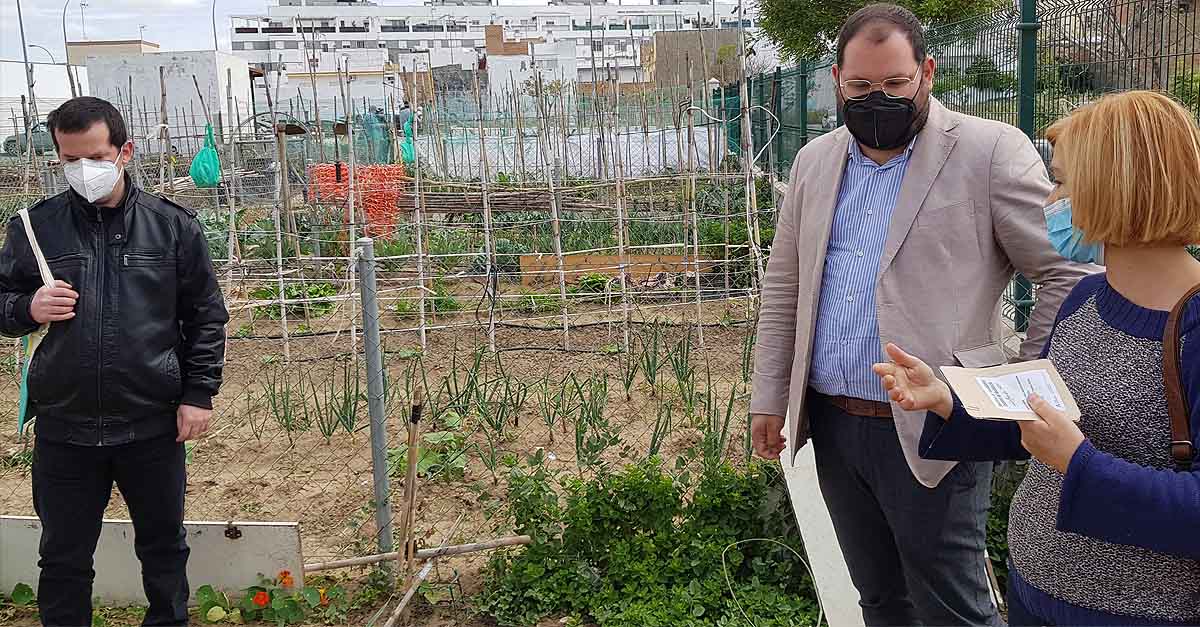 El Puerto se suma al proyecto 'Andalhuerto' de la Junta con el reparto de semillas en los huertos urbanos