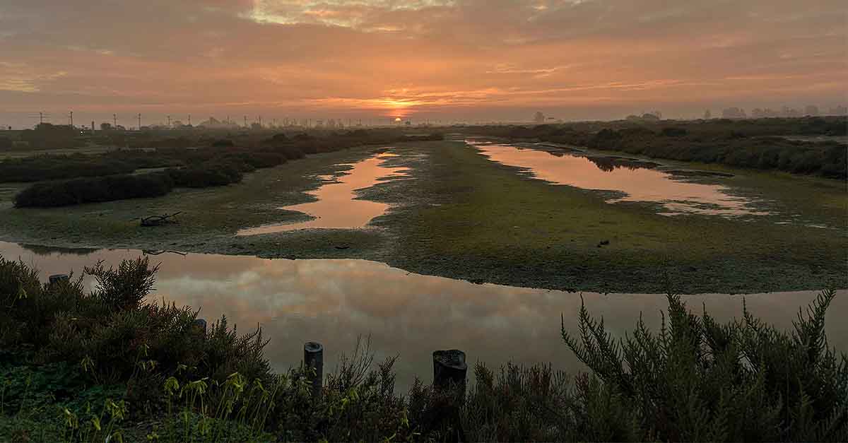 Soraya Gutiérrez se alza con el primer premio del concurso fotográfico de los Humedales